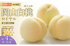 MM-30　白桃 特秀 ロイヤル 大玉 晩生品種 4kg 岡山県産 桃 もも  御中元 ギフト 御礼 プレゼント 御礼 御祝 御供 果物 くだもの フルーツ