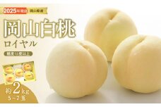 rr-101　白桃 特秀 ロイヤル 大玉 約2kg 5-7玉 岡山県産 桃 もも 御中元 ギフト 御礼 プレゼント 御礼 御祝 御供 果物 くだもの フルーツ