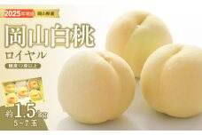 ZZ-23　白桃 特秀 ロイヤル 中玉 約1.5kg 5-7玉 岡山県産 桃 もも  御中元 ギフト 御礼 プレゼント 御礼 御祝 御供 果物 くだもの フルーツ