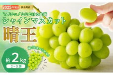 hh-106　シャインマスカット 晴王 秀品 大房 約2kg 2-5房 岡山県産 ぶどう ギフト 御礼 プレゼント 御礼 御祝 御供 果物 くだもの フルーツ