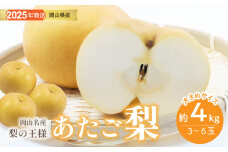 gg-105　梨 あたご梨  秀品 約4kg 岡山名産 日本一大きな梨 お歳暮 ギフト 御礼 プレゼント 御礼 御祝 御供 果物 くだもの フルーツ