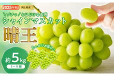 NN-37　シャインマスカット 晴王 秀品 大房 約5kg 5-9房 岡山県産 岡山県産 ぶどう ギフト 御礼 プレゼント 御礼 御祝 御供 果物 くだもの フルーツ