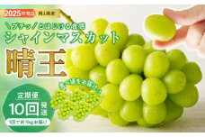 QQ-2　シャインマスカット 晴王 定期便 秀品 大房 約5kg 5-9房 10回発送 岡山県産 ぶどう ギフト 御礼 プレゼント 御礼 御祝 御供 果物 くだもの フルーツ