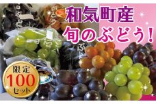 BS-26　ニューピオーネと旬のぶどう2.0kg
