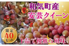TT-115　安芸クイーン2.0kg（4〜5房） 