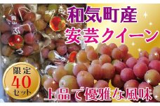 TT-115　安芸クイーン2.0kg（4〜5房） 