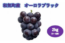 TT-114　オーロラブラック2.0kg（4～5房）