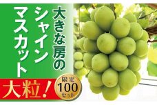 DD-85　【贈答用】　岡山のあまーいシャインマスカット　1房（大房）