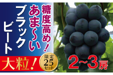 AC-24　福原農園　岡山のあまーいブラックビート約1kg（2～3房）