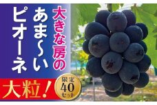 EE-69　【贈答用】　岡山のあまーい「ピオーネ」約2kg（3～5房）