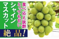 FF-45　【贈答用】　岡山のあま～い「シャインマスカット」約2kg（3～4房）