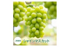 SS-129　【ご家庭用】シャインマスカット　2房（約1.2kg）1房約600g