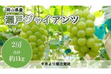 岡山県産　瀬戸ジャイアンツ（１房４８０ｇ以上・約１kg）２房入り　マスカット（WFH）