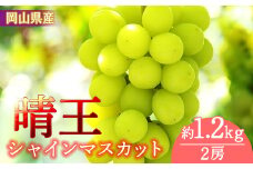 岡山県産　シャインマスカット「晴王」約１.２ｋｇ(１房６００ｇ以上）２房入り（WFH）