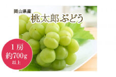 岡山県産　桃太郎ぶどう（７００ｇ以上）１房入り（WFH）