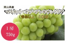 岡山県産　マスカット・オブ・アレキサンドリア（秀品以上・化粧箱入り）１房（７５０ｇ）（WFH）