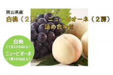 岡山県産フルーツ詰合せ／白桃２玉（１玉220g以上）・ニューピオーネ２房（１房480g以上）（WFH）