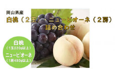 岡山県産フルーツ詰合せ／白桃２玉（１玉220g以上）・ニューピオーネ２房（１房480g以上）（WFH）