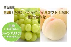 岡山県産フルーツ詰合せ／白桃２玉（１玉220g以上）・シャインマスカット２房（１房480g以上）（WFH）