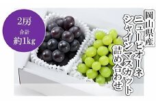 岡山県産　ニューピオーネ１房・シャインマスカット１房詰合せ（WFH）