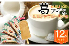 ココナッツコーヒー12 本セット