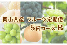 岡山県産 フルーツ定期便 ５回コースＢ