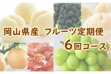 岡山県産　フルーツ定期便 6回コース