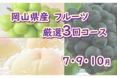 岡山県産 フルーツ 厳選3回コース （7月 9月 10月）
