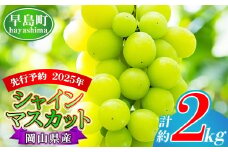 【2025年先行予約】岡山県産 シャインマスカット 約2kg（3房～5房） 家庭用 訳あり  /  岡山 岡山県  人気 葡萄 ぶどう 果物 特選 フルーツ ぶどう 先行予約  2kg 特選  2.0 2キロ 2房 3房 4房  2025年9月下旬～10月上旬 受付順に発送予定