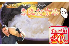  岡山県産米 きぬむすめ 特A 20kg(5kg×4袋)  / 関連キーワード  10kg 5kg 15kg  米  岡山県産  白米 美味しいお米 2025年 10月下旬～11月下旬発送/