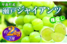 瀬戸ジャイアンツ（２房以上・２ｋｇ程度）（林果樹園）