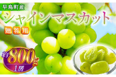 【贈答用】シャインマスカット（１房・８００g程度）（林果樹園）