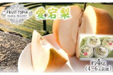 2.【先行予約】 産地直送 愛宕梨 約4kg (4~6玉前後) 水車の里フルーツトピア 期間限定 岡山県 矢掛町産 なし 果物 スイーツ フルーツ デザート《12月上旬-2月上旬頃出荷》