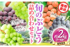 3.【先行予約】 産地直送 旬のぶどう詰め合わせセット 1箱 約2kg 3～4房 水車の里フルーツトピア 期間限定 岡山県 矢掛町 葡萄 果物 スイーツ フルーツ デザート《9月上旬-9月末頃出荷》