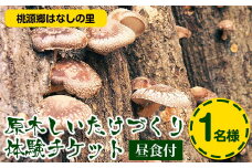 7. 原木しいたけづくり体験チケット(昼食付) 1名様 桃源郷はなしの里 岡山県矢掛町《30日以内に出荷予定(土日祝除く)》