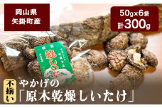 9. やかげの「原木乾燥しいたけ」 不揃い 備中南森林組合 岡山県矢掛産《60日以内に出荷予定(土日祝除く)》