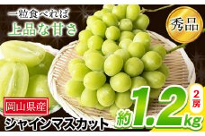 21. 秀品 シャインマスカット 約1.2kg 2房 《9月中旬～11月上旬頃に出荷予定(土日祝除く)》 st-p