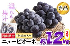 23. 秀品 ニューピオーネ 約1.2kg 2房《9月中旬～11月上旬頃に出荷予定(土日祝除く)》 st-p