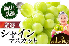 シャインマスカット【2025年出荷先行予約】 ランキング入賞！ 厳選 シャインマスカット 約1.3kg 2房《9月上旬-11月中旬頃に出荷予定》ぶどう 種なし ぶどう 岡山 ぶどう 先行予約 ぶどう シャインマスカット 大粒 シャインマスカット 晴王 シャインマスカット 岡山 シャインマスカット ぶどう ランキング 受賞