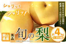 【先行予約】岡山県産 旬の 梨 約4kg 3～10玉前後 梨 秀品 新高 愛宕 スイーツ フルーツ デザート 旬 岡山県矢掛町《9月上旬-1月末頃に出荷予定》