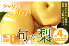 【先行予約】訳あり 岡山県産 旬の梨 約4kg 3～10玉前後 梨 訳あり 優品 新高 愛宕 王秋梨 鴨梨 スイーツ フルーツ デザート 旬 岡山県矢掛町《9月上旬-1月末頃に出荷予定》数量限定