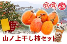 28.【先行予約】 山ノ上 干し柿 セット 《12月上旬-12月末頃出荷》 水車の里フルーツトピア 岡山県 矢掛町 柿 果物 フルーツ 干柿餅