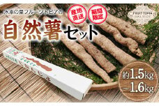 29.【先行予約】 自然薯 セット 《11月中旬‐12月末頃出荷》 水車の里フルーツトピア 岡山県 矢掛 自然薯　野菜 自然生 山芋