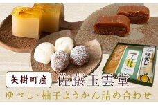 40. ゆべし・柚子ようかん詰め合わせ 佐藤玉雲堂 岡山県矢掛町 柚子 ようかん 和菓子 スイーツ デザート《30日以内に出荷予定(土日祝除く)》