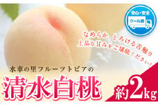 63.【先行予約】 清水白桃 約2kg 水車の里フルーツトピア 《7月中旬-8月上旬頃出荷》 岡山白桃 岡山県 矢掛町 桃 モモ 果物 スイーツ フルーツ デザート