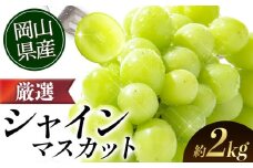 シャインマスカット 【2025年出荷先行予約】 厳選 シャインマスカット 約2kg 3～5房《2025年9月上旬-11月中旬頃に出荷予定》 ぶどう 種なし ぶどう 岡山 ぶどう 先行予約 ぶどう シャインマスカット 大粒 シャインマスカット 晴王 シャインマスカット 岡山 シャインマスカット ぶどう シャインマスカット 2kg