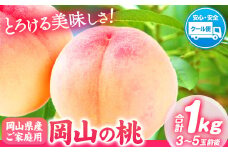 桃 【2025年先行予約】 岡山の桃 約1kg (3～5玉)《2025年6月下旬-9月上旬頃出荷》岡山県 矢掛町