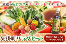 134. 矢掛町サラダセット 野菜5～8品目入 青空市きらり《4月上旬から10月上旬頃に出荷予定》岡山県 矢掛町 野菜 野菜詰め合わせ ドレッシング トマト きゅうり アスパラガス 玉ねぎ リーキ 送料無料