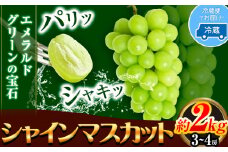シャイン マスカット 岡山 約2kg 3~4房 青空市きらり《9月上旬から11月上旬頃に出荷予定》岡山県 矢掛町 シャインマスカット お中元 ぶどう 葡萄 送料無料