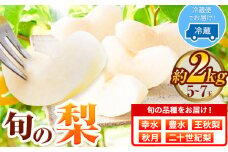 梨 幸水 豊水 約2kg 5~7玉 青空市きらり《8月中旬から12月中旬頃に出荷予定》岡山県 矢掛町 なし 幸水梨 豊水梨 あきづき 二十世紀梨 王秋梨 お中元 送料無料